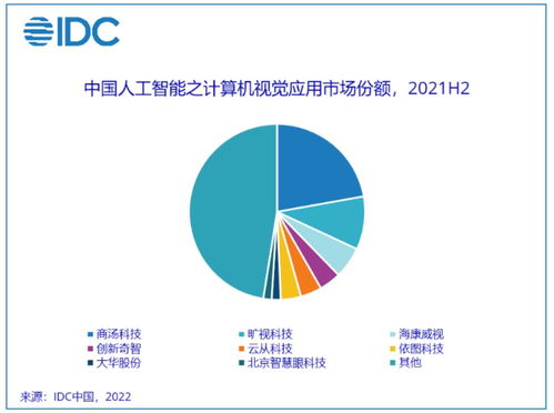2021年人工智能應(yīng)用軟件開發(fā)市場 強(qiáng)勁增長與技術(shù)革新